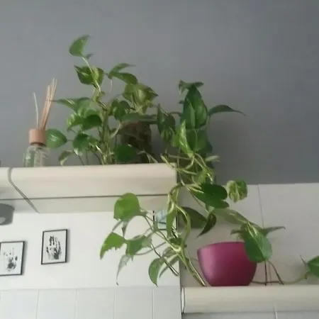 Vendégház Mascagni Firenze