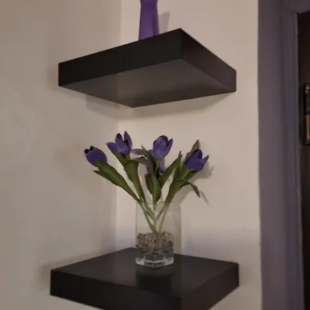 بيت ضيافة Mascagni